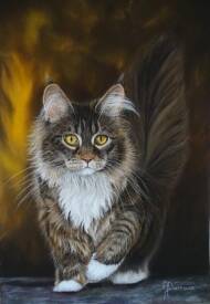 Annie DARROUX - 266 A pas feutrés.JPG