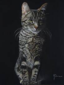 Annie DARROUX - images 1.jpg