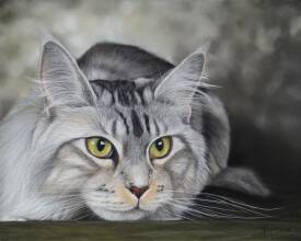 Annie DARROUX - 442.32.25 Pensée profonde.JPG