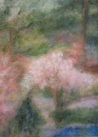 Catherine De POTTER - Sakura.jpg