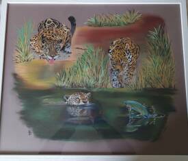 Anne DEGREMONT - FELINS