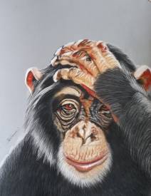 Séverine DELANOUE - chimpanzé pastel 2022