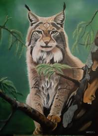 Séverine DELANOUE - L'œil de Lynx 2023