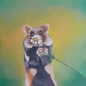 Séverine DELANOUE - 20250718_175445.jpg