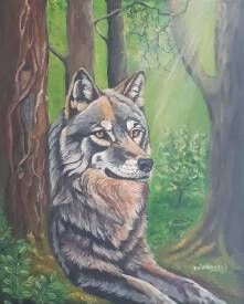 Séverine DELANOUE - Le loup dans la forêt  2025