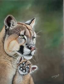 Séverine DELANOUE - 20250605_153734.jpg