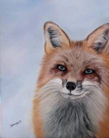 Séverine DELANOUE - le renard pastel 2022