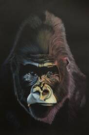 Eric Delesalle - images 4.jpg