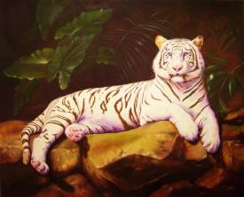 Patrick DEVAUD - le tigre blanc - 40 figure