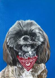 Dany Drug - Mon Shih tzu d’amour.jpg