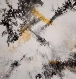 Robin DUBOIS - IMG_20260205_075549~2.jpg