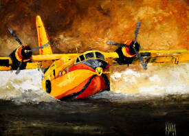 Dominique DUPIN - 240804  canadair  73x54  20P.JPG