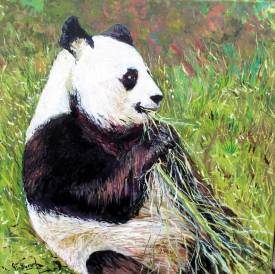 Claude EVRARD - Le panda de Beauval