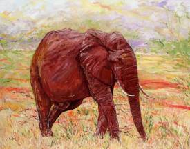 Claude EVRARD - L'éléphant rouge du Tsavo (Kenya)