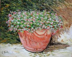 Claude EVRARD - Fleurs en pot