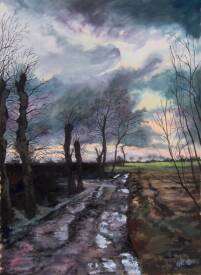 Olivier Filleul - "Les hautes plaintes"