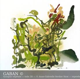  GABAN - SYNAPSE VEGETALE