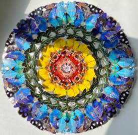 Lison GANGLOFF - images 6.jpg