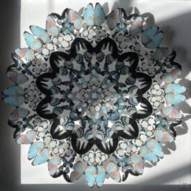 Lison GANGLOFF - images 3.jpg