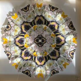 Lison GANGLOFF - images 4.jpg