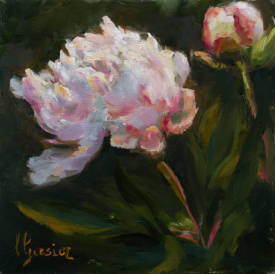 Laurence GASIOR - Pivoine