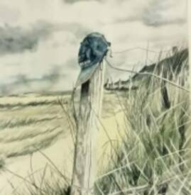 Romain GATTONE - images 2.jpg