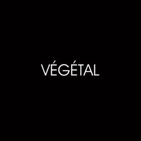 Philippe GENTILS - LE VÉGÉTAL