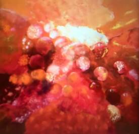 Christiane GILBERT - EFFERVESCENCE