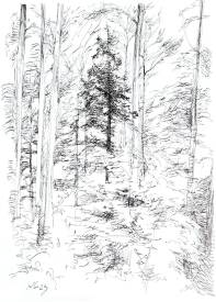 Natalia GRIGORIEVA - Palanga. Vue depuis la fenêtre