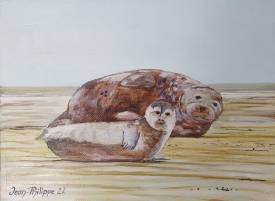 Jean-Philippe GUFFROY - 82/22 - Les phoques de la baie d'Authie