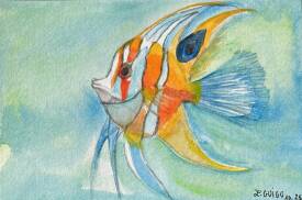 Lidia GUIGO - 5559E842-6482-43B7-8C85-433F4433FB27.jpeg