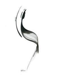 Christophe Hans Mouginot - images 2.jpg