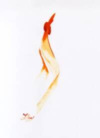 Christophe Hans Mouginot - images 4.jpg