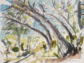 Miriam HARTMANN - 24.850 Les arbres, Aix