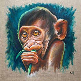Stéphane ILLAND - Bébé macaque