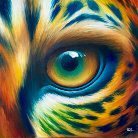 Stéphane ILLAND - Panthera