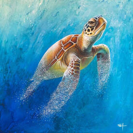 Stéphane ILLAND - Honu