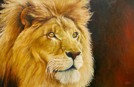 Stéphane ILLAND - Lion