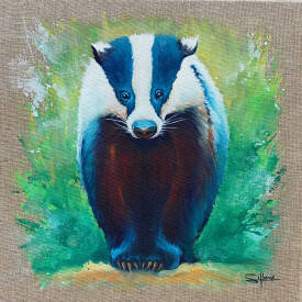 Stéphane ILLAND - Badger