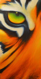 Stéphane ILLAND - Tiger