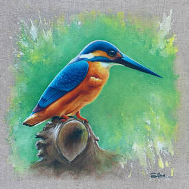 Stéphane ILLAND - Kingfisher