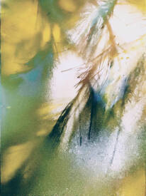 Brigitte JORDA JUAN - BRUME DES CIMES.jpg