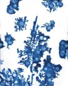 Sophie KAO ARYA - images 6.jpg