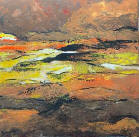 Dany LACHAUD - 894 TERRE SAUVAGE N° 894.JPG