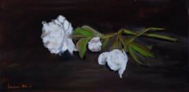 Antoine LANOS HIRT - Pivoine2-30x60