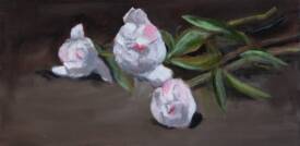 Antoine LANOS HIRT - Pivoine1-30x60