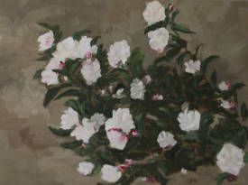 Solange LE CHEQUER - 160-3 Les Camélias blanc-rosé Sasanqua du jardin.jpg