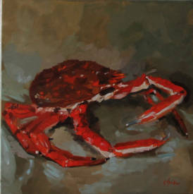 Solange LE CHEQUER - L'Araignée de Mer  185-3 20-029 50x50cm.jpg