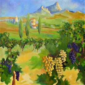 Jean Noël LE JUNTER - le vignoble du Pic Saint-Loup