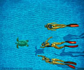 Pascal LECOCQ - pascal_lecocq_lec994.jpg